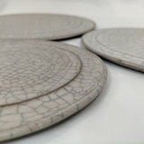 フラットプレート / S